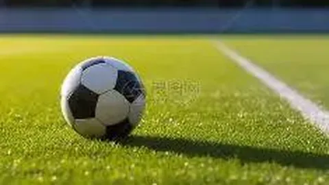 米蘭力克薩索洛，普利西奇一箭定江山，意甲三甲地位稳固！