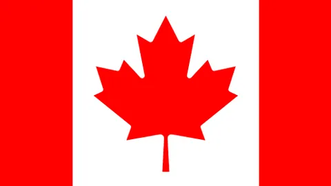 中国女足12年后奥运梦碎，未来之路何在？——新民晚报